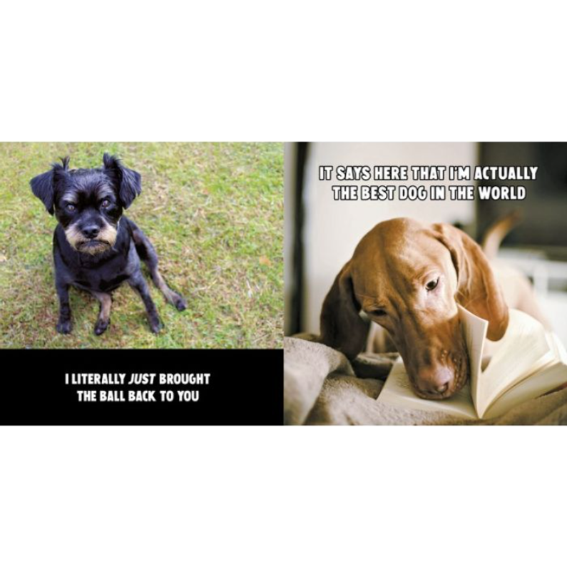Funny Dogs Book