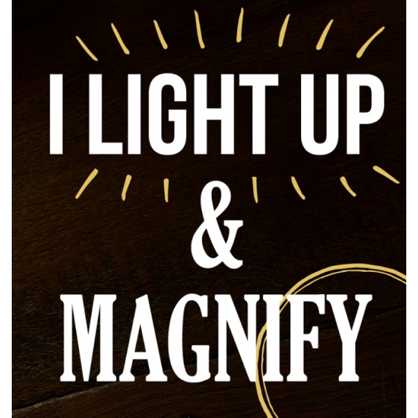Light Up Menu Magnifier