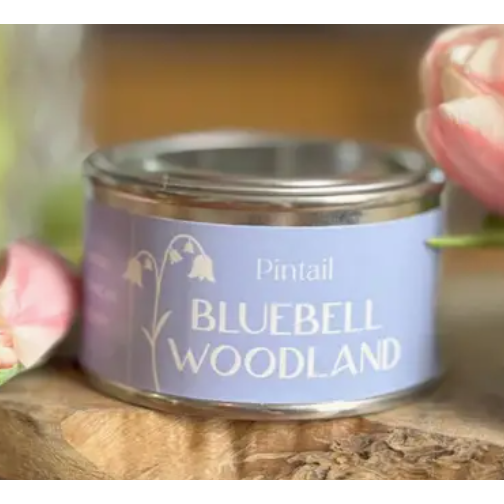 Bluebell Woodland Paint Pot Candle