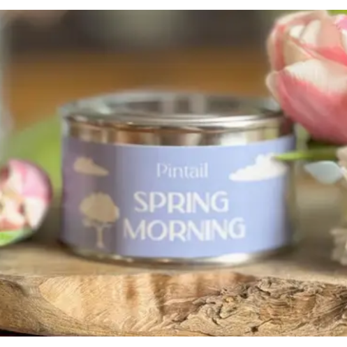 Spring Morning Paint Pot Candle