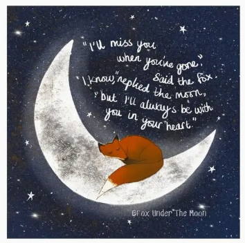 Fox Under The Moon Card - C21 In Your Heart