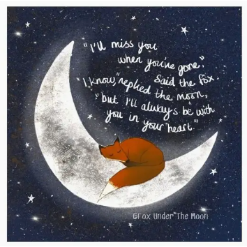 Fox Under The Moon Card - C21 In Your Heart