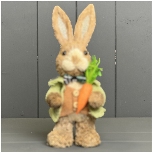 Mr Rabbit With Green Jacket Holding a Carrot