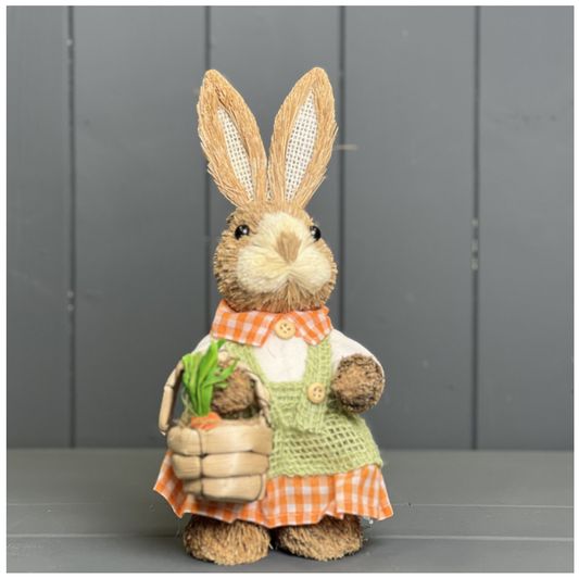 Mrs Rabbit With Basket In An Orange Dress