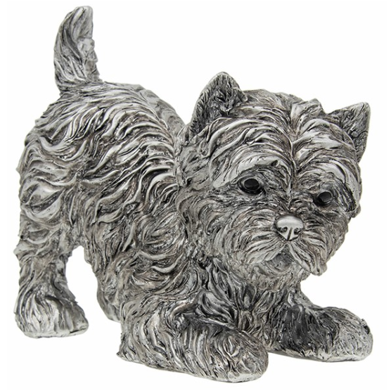 Silver Detailed Playful Highland Terrier Large