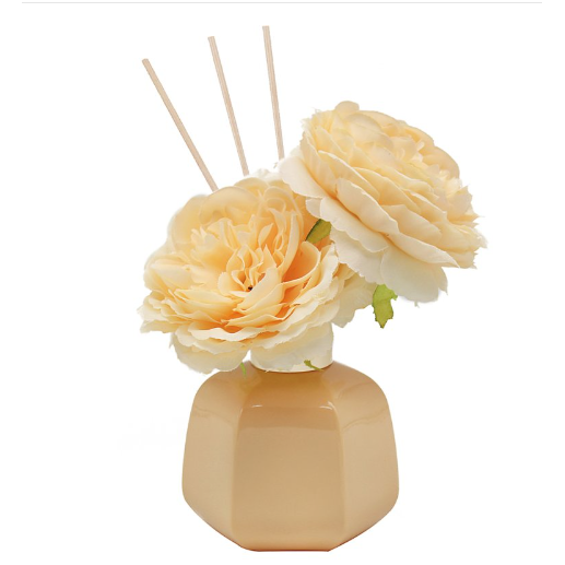 Pomegranate Noir 100ml Diffuser