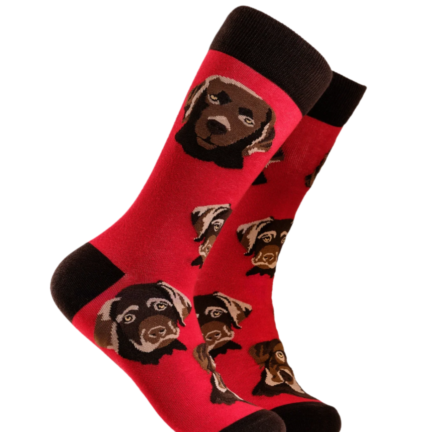 Socktopus Mens Labrador Socks - Choc Lab - Red #