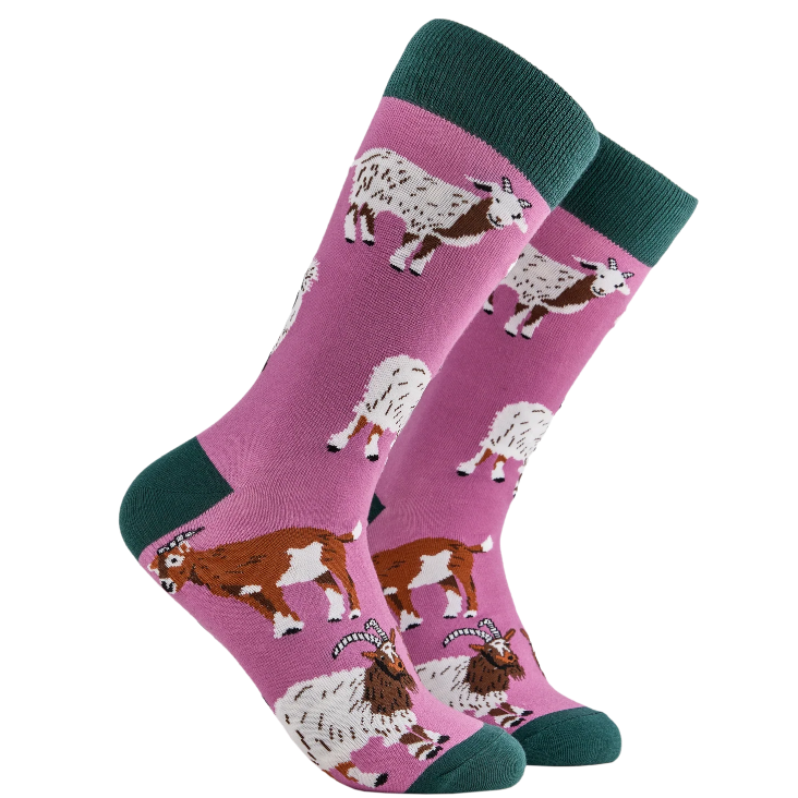 Socktopus Ladies Goat Lovers Socks - Mauve