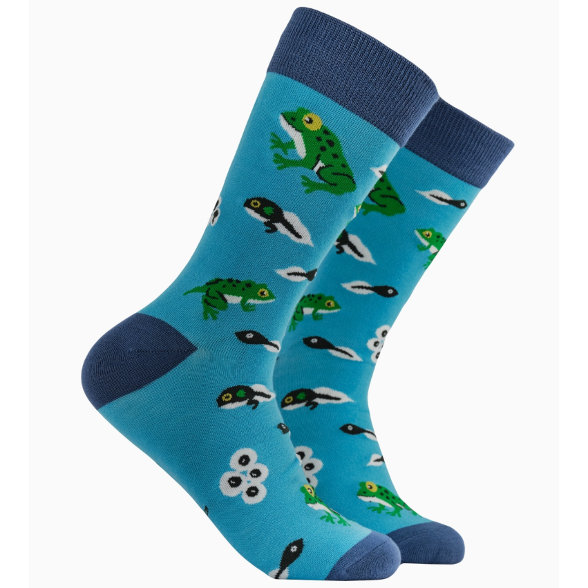 Socktopus Ladies Bamboo - Frog Lifecycle - Aqua