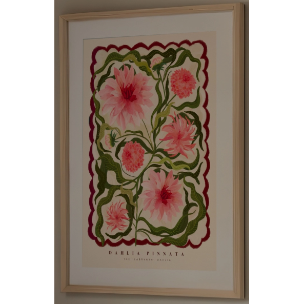 The Dahlia Art Print