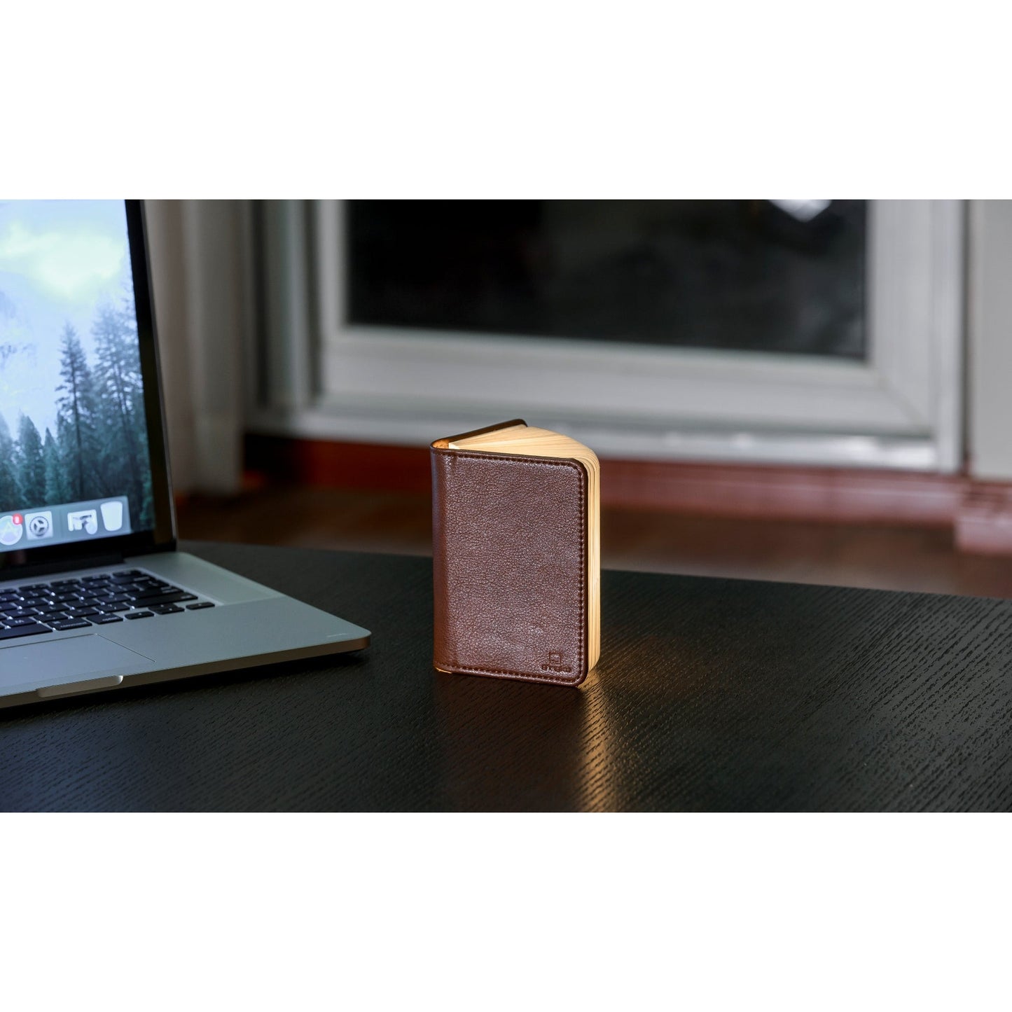 Smart Book Light - Brown Leather