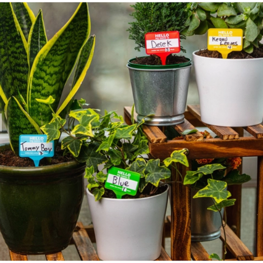 Plant Name Tags