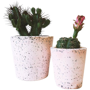 Pink Terrazzo Medium Cactus Pot