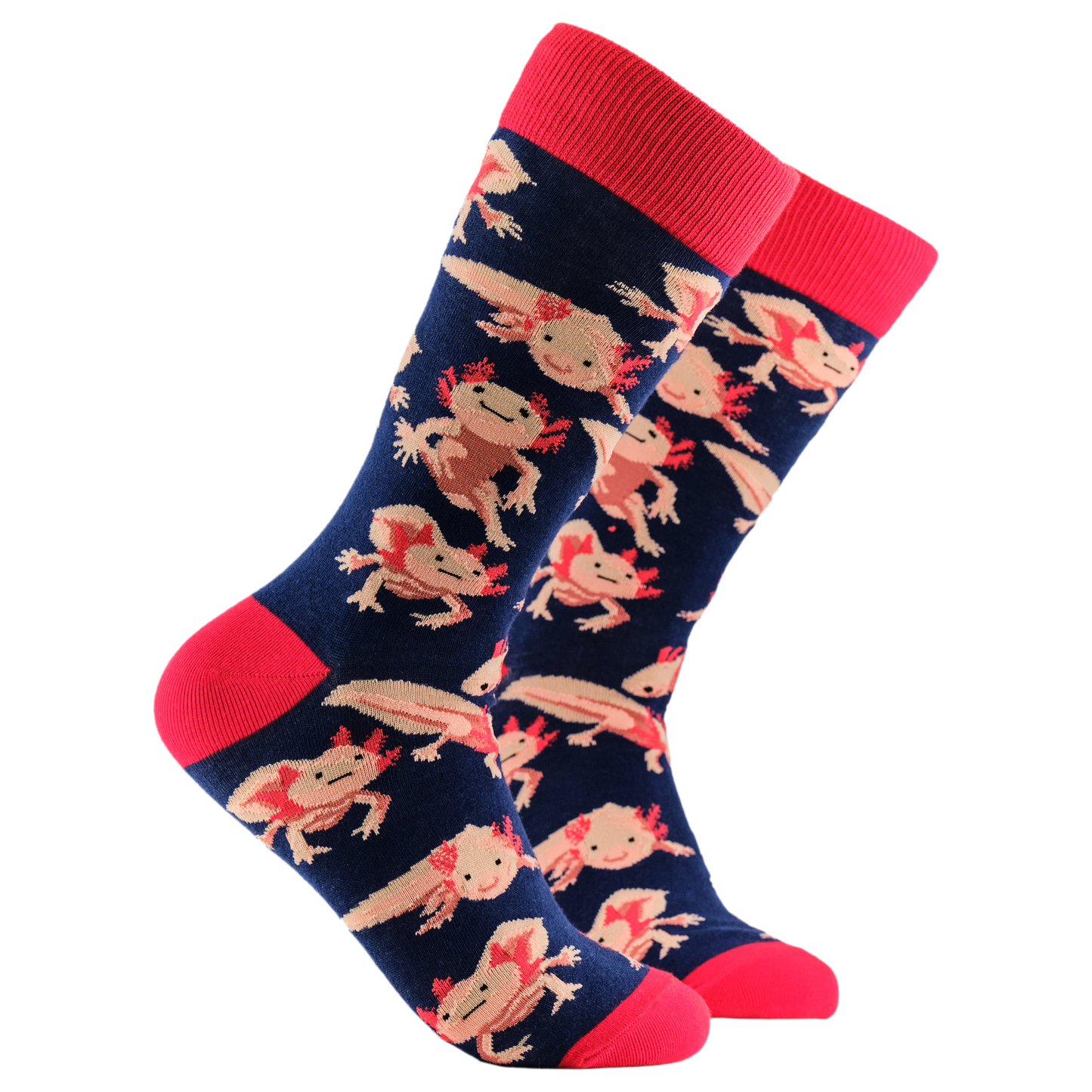 Socktopus Mens - Axolotl Socks - Lottia Axolotl - Navy