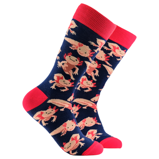 Socktopus Mens - Axolotl Socks - Lottia Axolotl - Navy