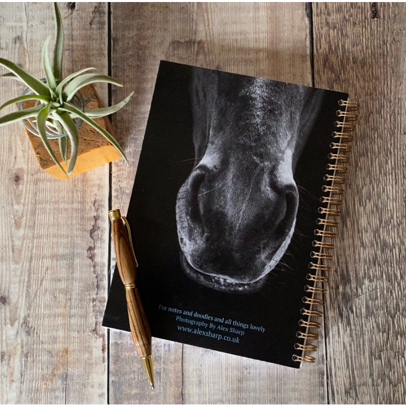 A5 Notebook - Black Horse