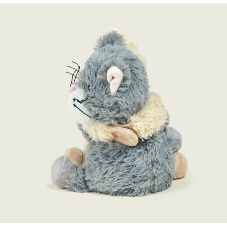 Warmies Warm Hugs In A Tray Kittens