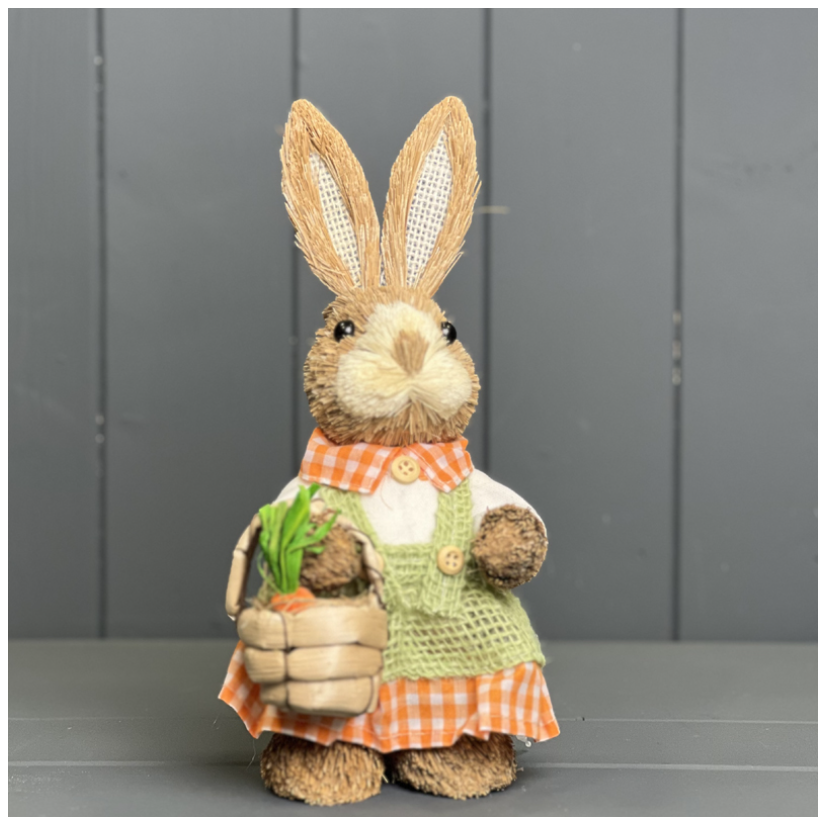Mrs Rabbit With Basket In An Orange Dress