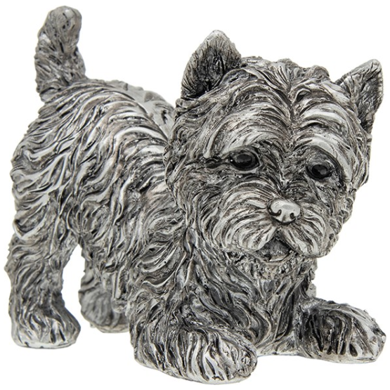 Silver Detailed Playful Highland Terrier Small