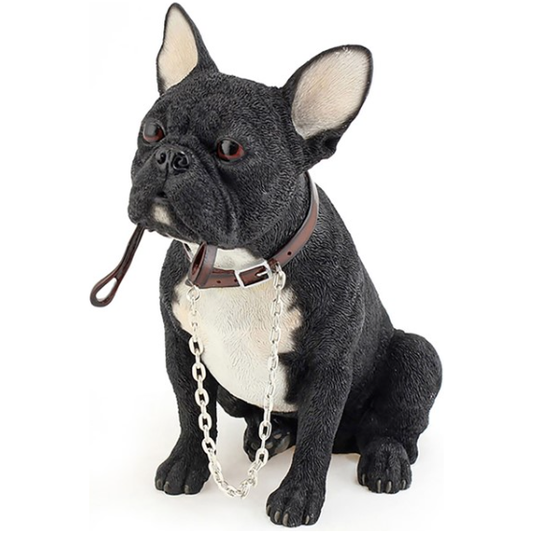 Black French Bulldog Holding A Lead