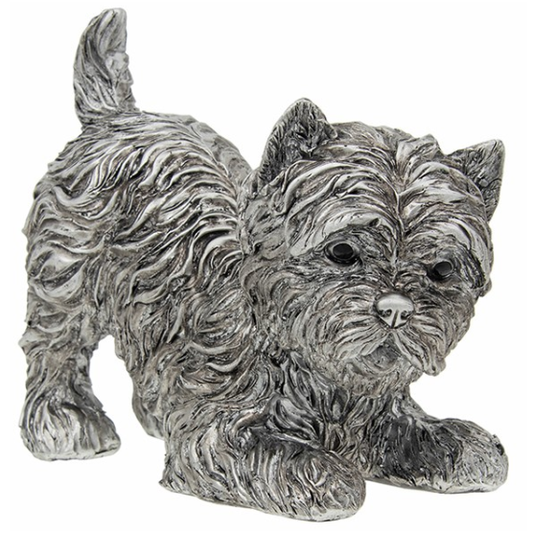 Silver Detailed Playful Highland Terrier Large
