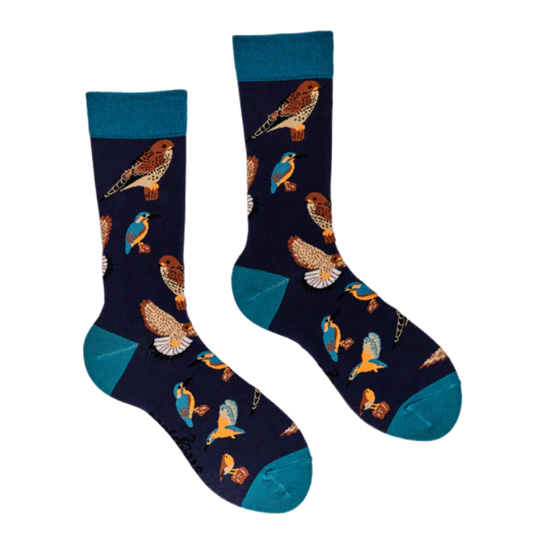 Soctopus Mens Socks Various Designs