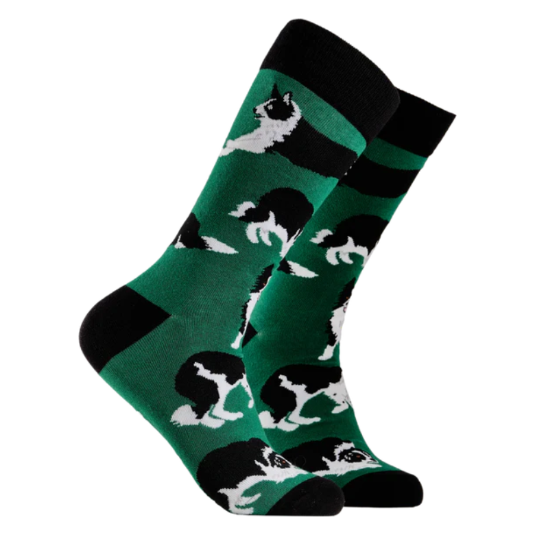 Soctopus Mens Socks Various Designs