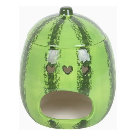 Ceramic Watermelon Oil and Waxmelt Burner