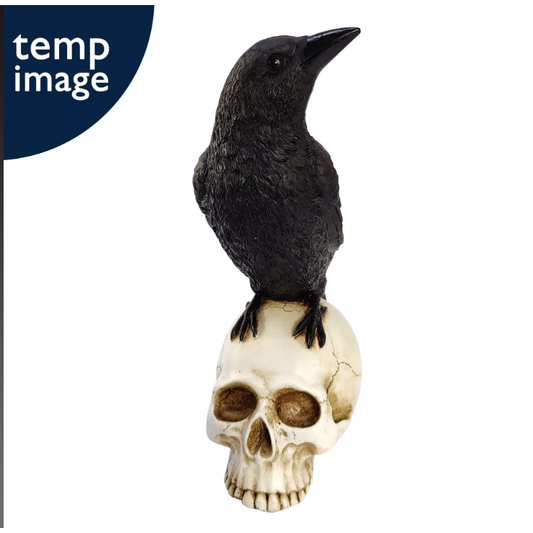Raven On A Skull Figurine
