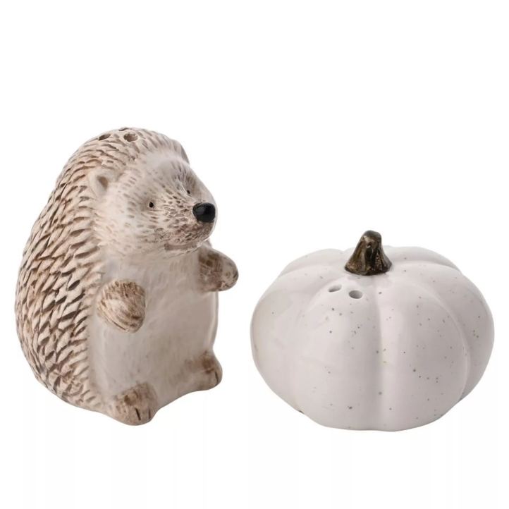 Hedgehog and Pumpkin Ceramic Salt and Pepper Set