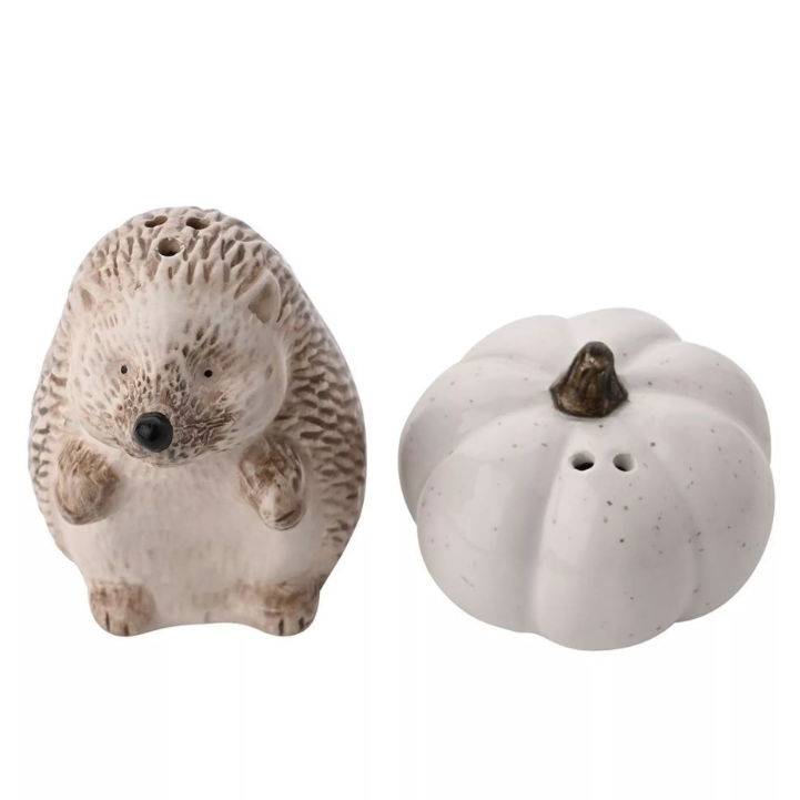 Hedgehog and Pumpkin Ceramic Salt and Pepper Set