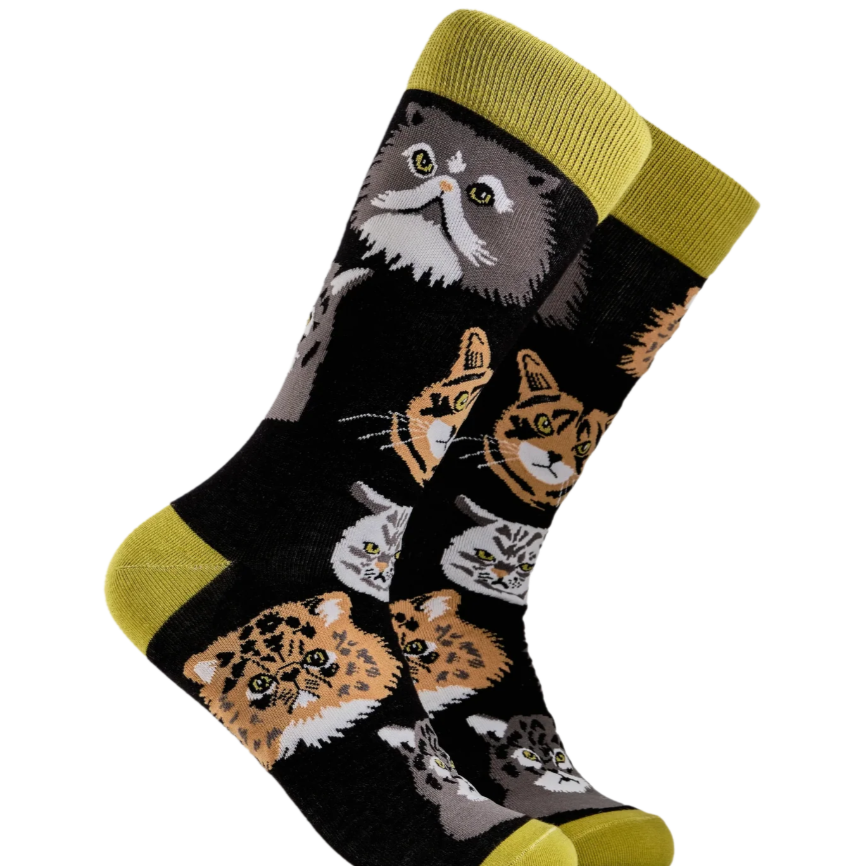 Socktopus Mens Grumpy Cats Socks - Black #