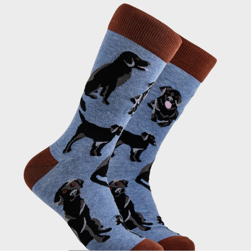 Socktopus Mens Labrador Socks - Black Lab - Blue #