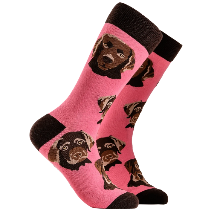 Socktopus Ladies Labrador Socks - Choc Lab - Pink