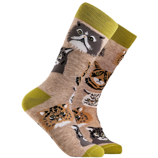Socktopus Ladies Grumpy Cats Socks - Oatmeal