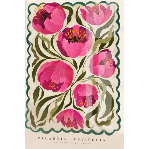 Summer Peony Art Print