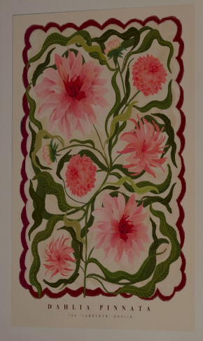 The Dahlia Art Print