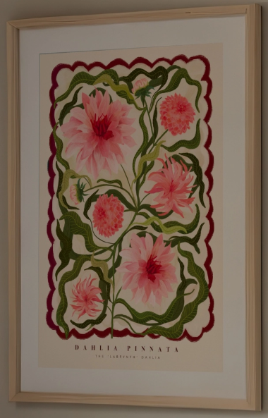 The Dahlia Art Print