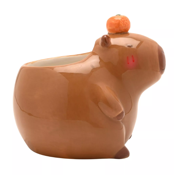 Capybara Plant Pot