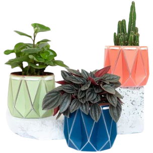 Recycled Plant Pots 10cm