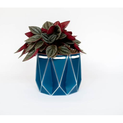 Recycled Plant Pots 10cm