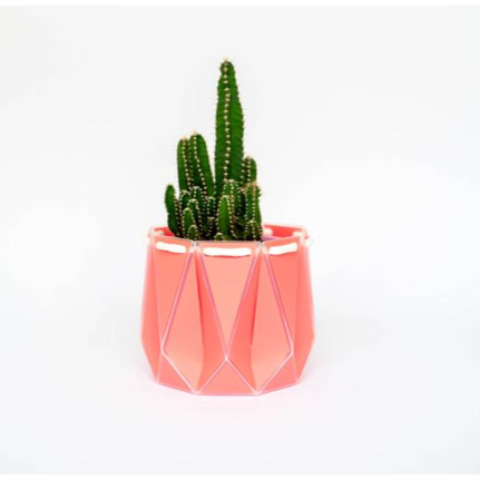 Recycled Plant Pots 10cm
