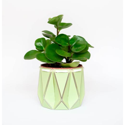 Recycled Plant Pots 10cm