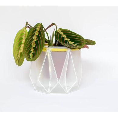 Recycled Plant Pots 10cm