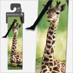 3D Animal Bookmarks