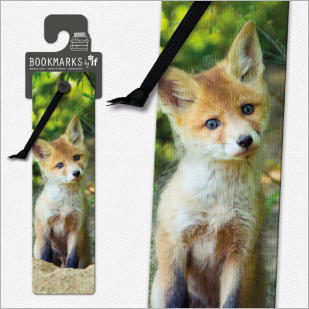 3D Animal Bookmarks